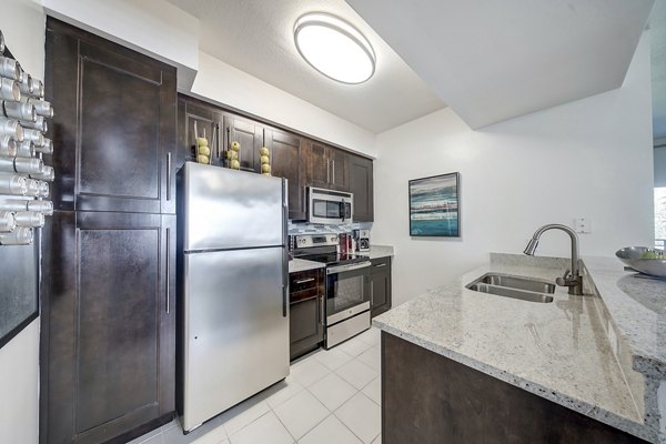 kitchen at Avana Cypress Creek Apartments 