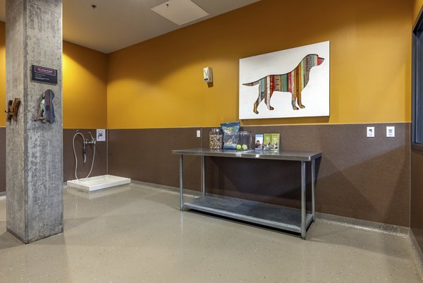 Dog wash station with modern amenities at The Luke Apartments