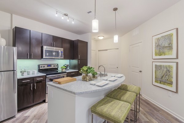 kitchen at 1100 South Apartments