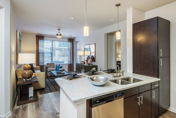 Contemporary kitchen with stainless steel appliances at 1100 South Apartments