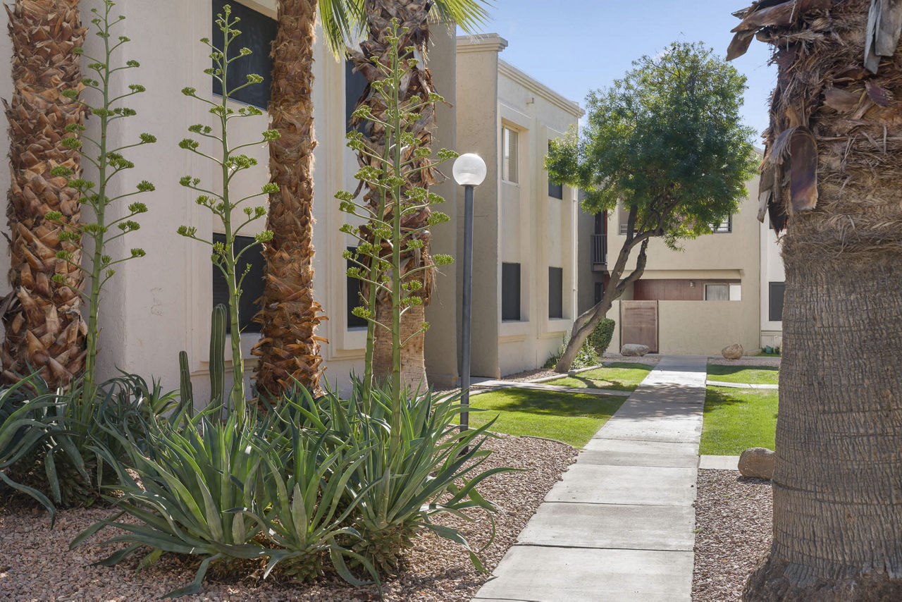 The Cortesian Apartments Scottsdale Az 4 of 12