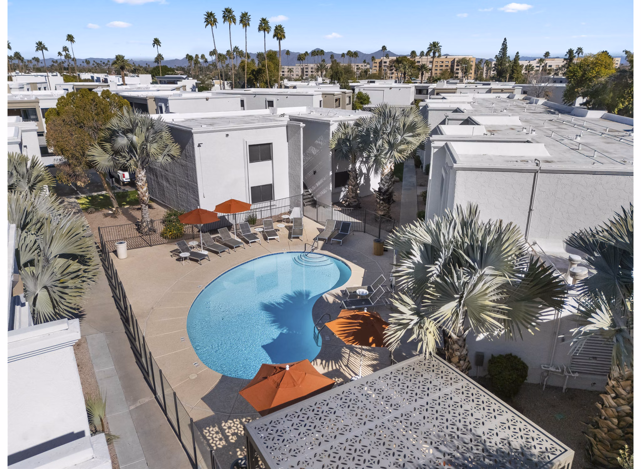 pool at The Cortesian Apartments