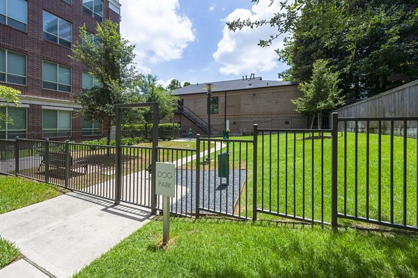 Dog park with agility equipment at Virage Luxury Apartments