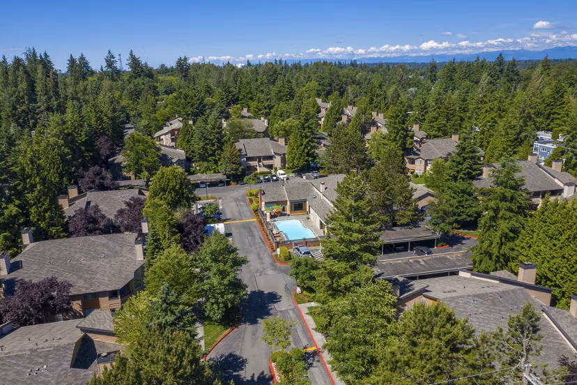 Scenic view from The Seasons Apartments patio showcasing lush greenery and luxury living in a serene setting