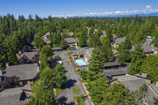 Scenic view from The Seasons Apartments patio showcasing lush greenery and luxury living in a serene setting