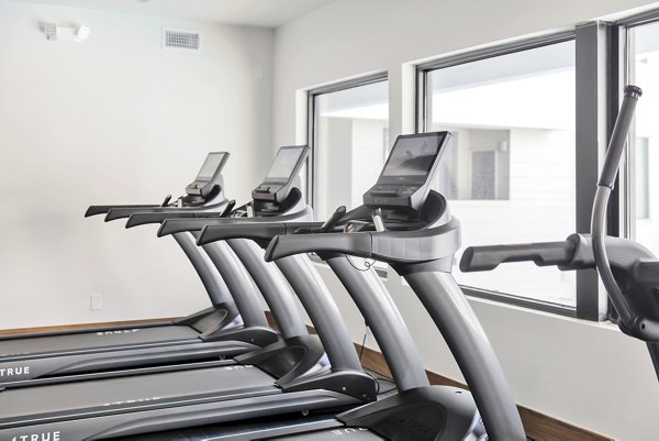 State-of-the-art fitness center with modern equipment at Oak & Ellum Apartments, offering luxury workout facilities