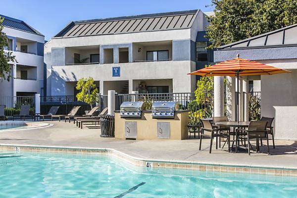 pool at Avana Rancho Cucamonga Apartments