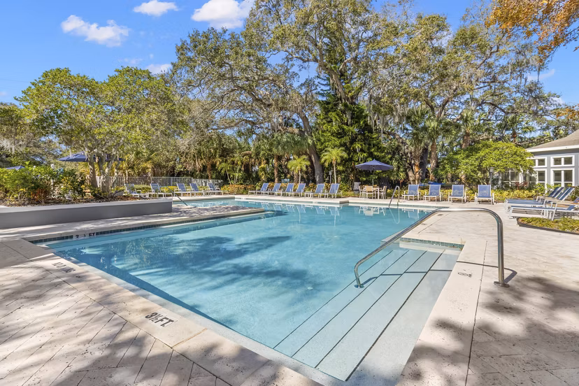 pool at Avana City Park Apartments