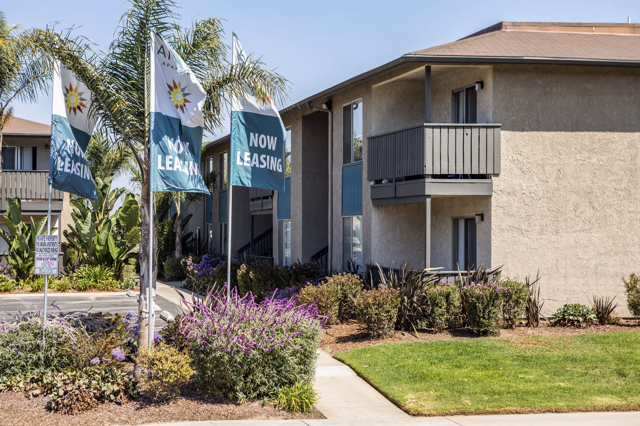 Luxury apartment complex with 'Now Leasing' flags and lush palm trees in a beautifully landscaped setting