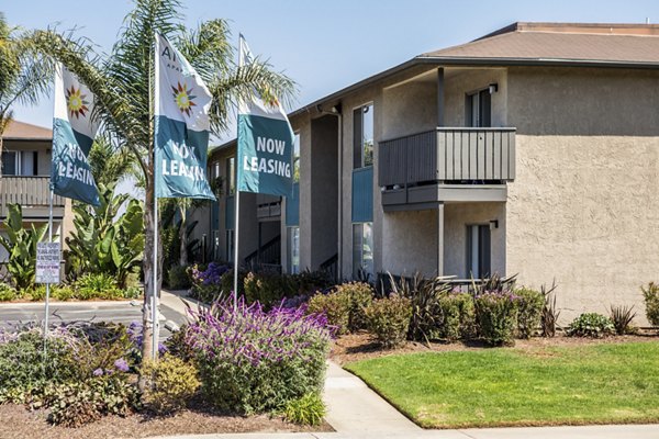 Luxury apartment complex with 'Now Leasing' flags and lush palm trees in a beautifully landscaped setting