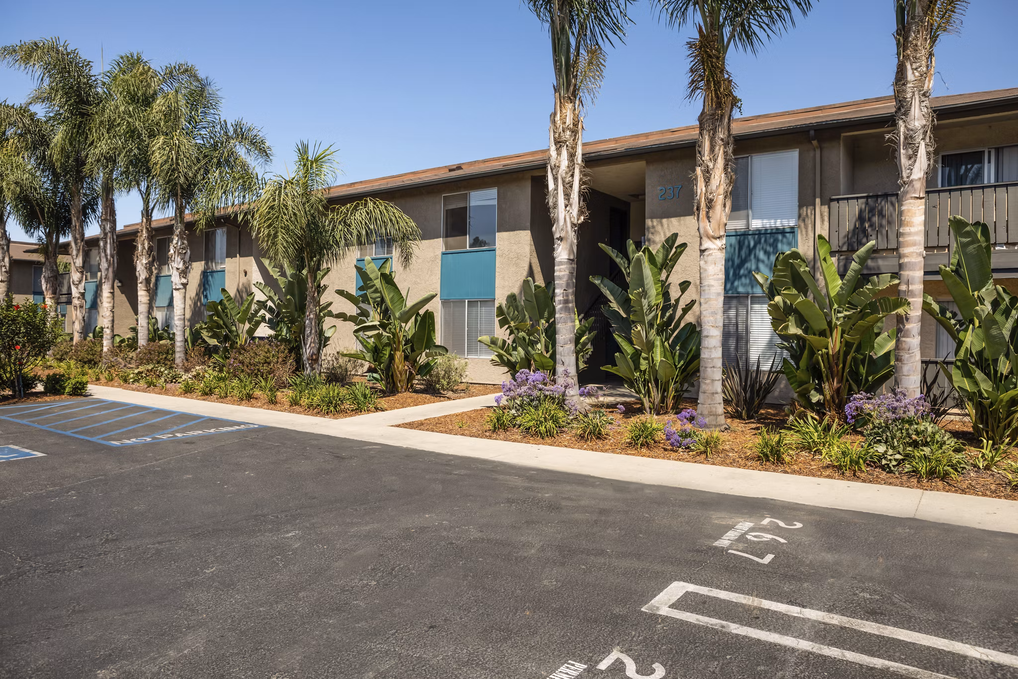 Property images of Amara Apartments