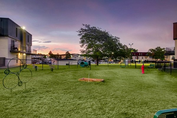 Dog park with agility features at Copperwood Apartments Luxury Apartments