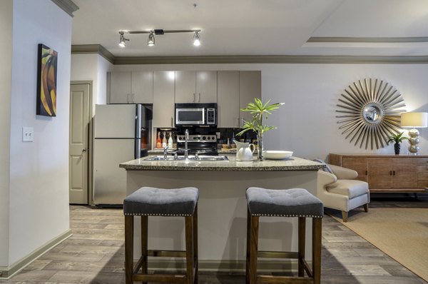 Modern kitchen featuring stainless steel appliances at Avana Uptown Apartments