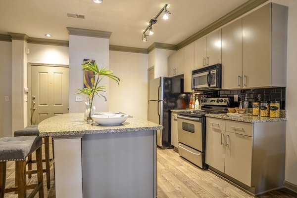 Modern kitchen with granite countertops and stainless steel appliances at Avana Uptown Apartments