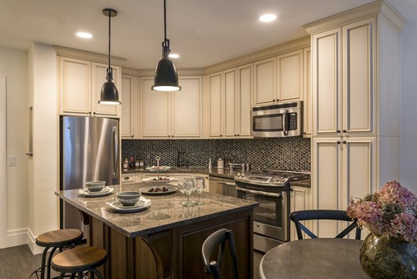 Modern kitchen with stainless steel appliances in Pike and Rose Pallas luxury apartments