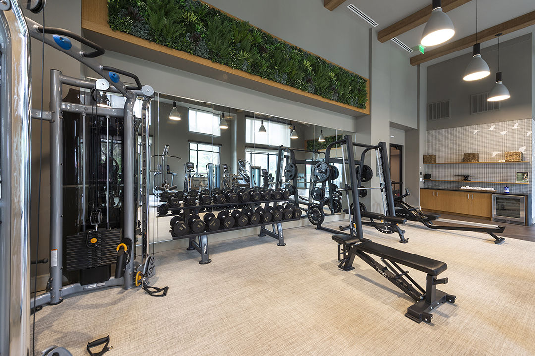 Gym at Novel River Oaks By Crescent Communities