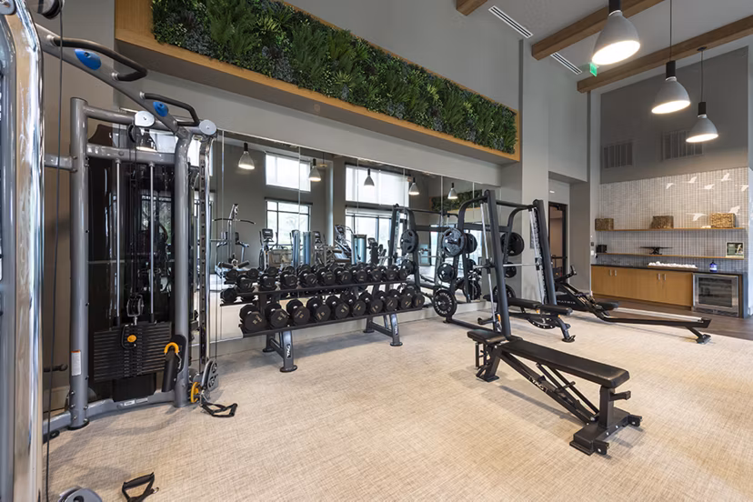 fitness center at Novel River Oaks Apartments 