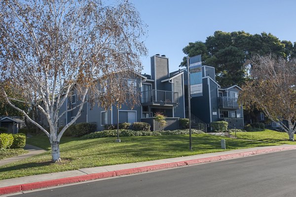 Cypress Creek Apartments: Elegant view of luxury apartments amidst lush greenery in central location