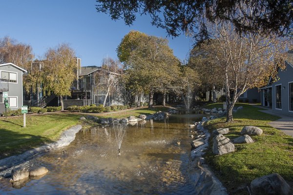 Creek at Cypress Creek Apartments: Lush landscaped setting at luxury apartments in a serene Cypress Creek location