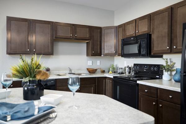 kitchen at University Commons Apartments
