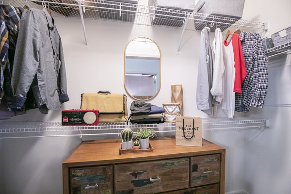 Spacious bedroom closet with organized shelving in Ayla Apartments