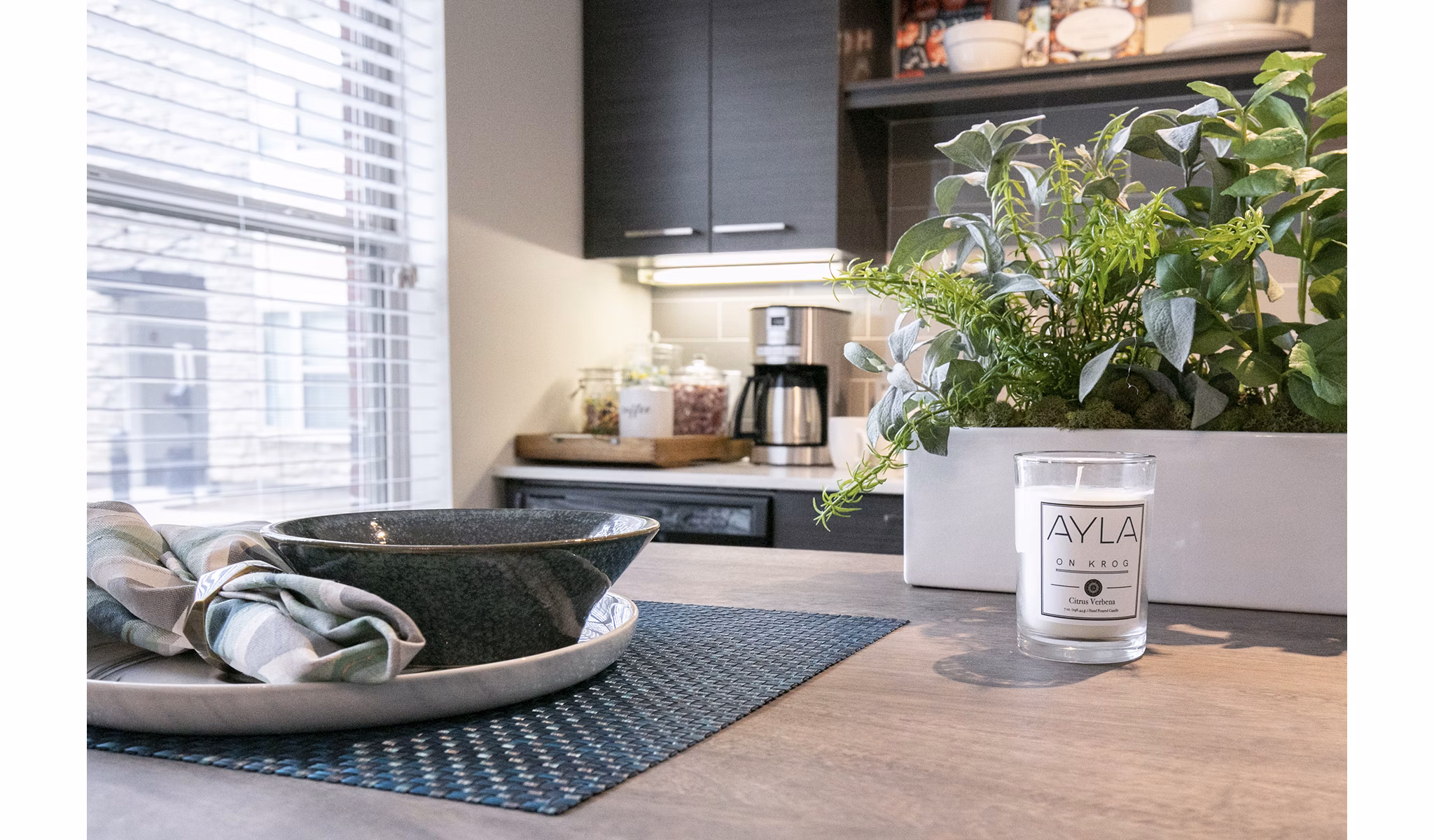 Contemporary kitchen featuring sleek countertops and stainless steel appliances at Ayla Apartments