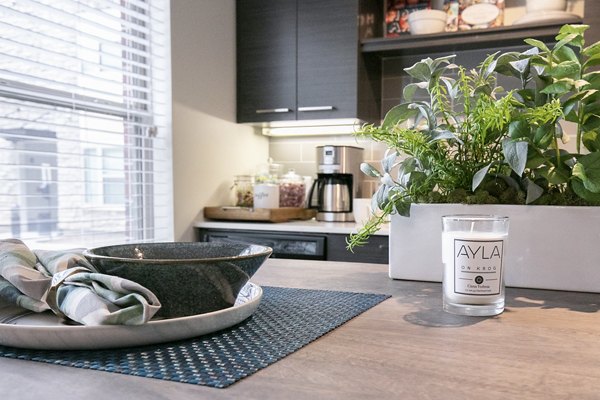 Contemporary kitchen featuring sleek countertops and stainless steel appliances at Ayla Apartments