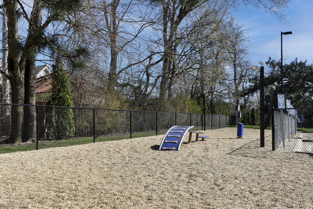 Dog park at Park 205 Apartments
