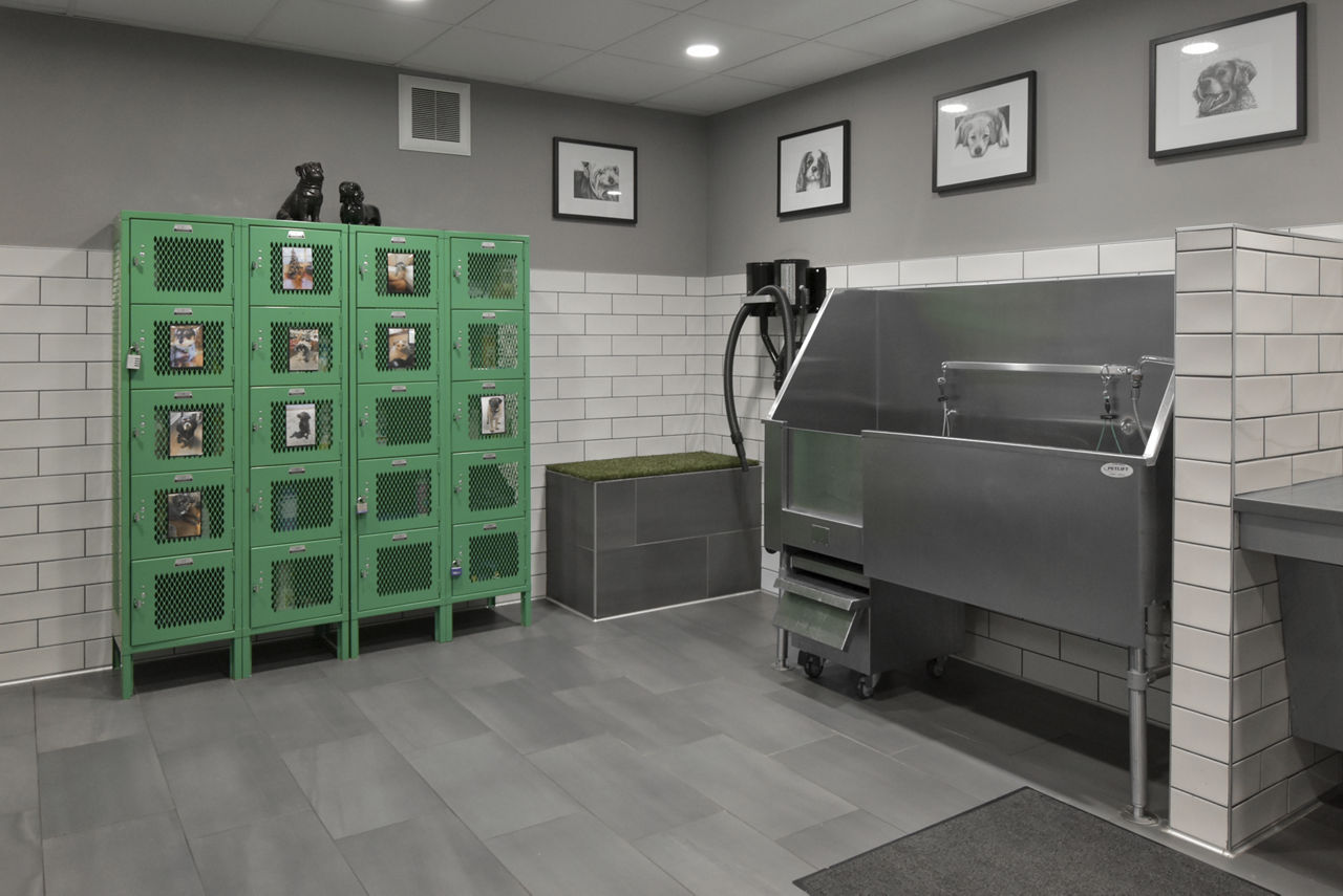 Pet wash at Park 205 Apartments