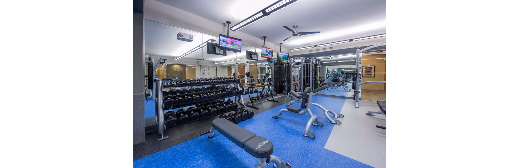 State-of-the-art fitness center with modern equipment at Domain West Apartments