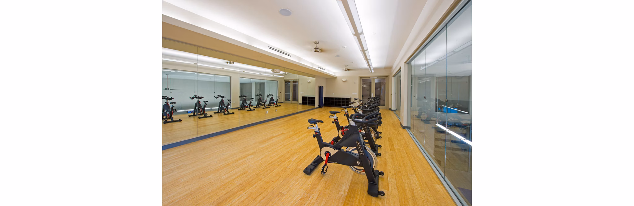 State-of-the-art fitness center with modern equipment at Domain West Apartments