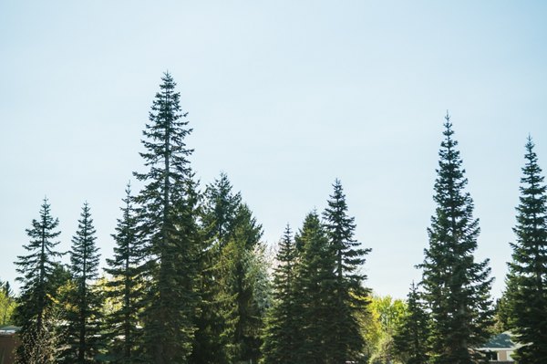 The Blake Apartments