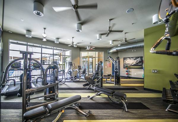 33 North Apartments - Student Living