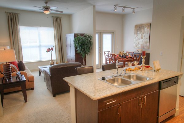 Modern kitchen with stainless appliances in Avana on the Platte Apartments luxury community