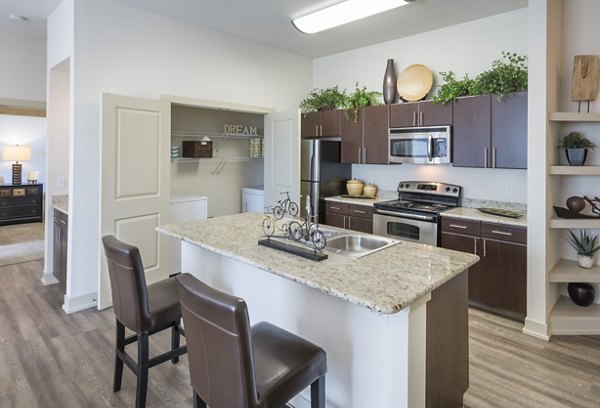 kitchen at Avana on the Platte Apartments