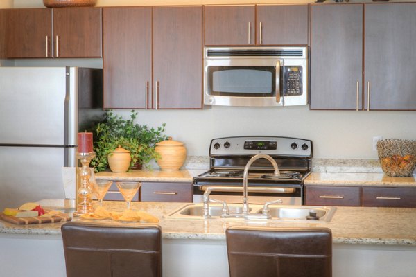 Contemporary kitchen with stainless steel appliances in Avana on the Platte Apartments