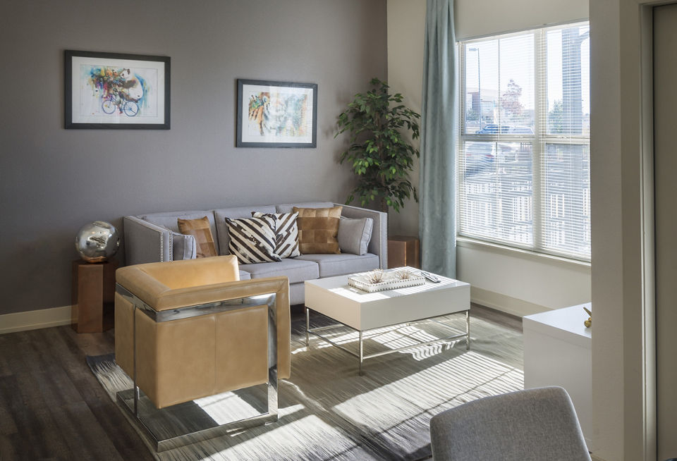 Spacious living room with modern furnishings at Avana on the Platte Apartments