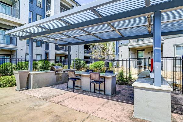 grill area at Avana on the Platte Apartments