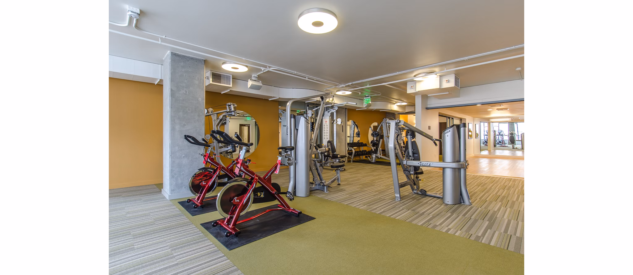 State-of-the-art fitness center with modern equipment at Viktoria Apartments, luxury living in the heart of the city