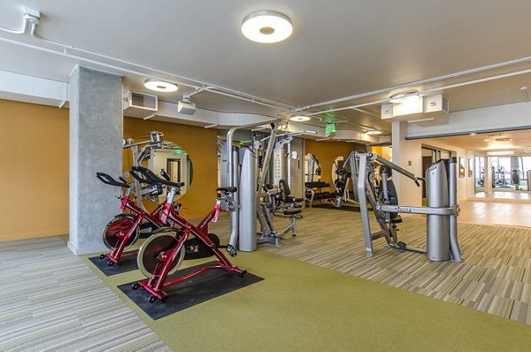 State-of-the-art fitness center with modern equipment at Viktoria Apartments, luxury living in the heart of the city