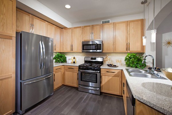 Modern kitchen with stainless steel appliances at Carlyle Apartments