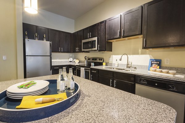 Sleek modern kitchen with stainless steel appliances at Junction Six Forks Apartments