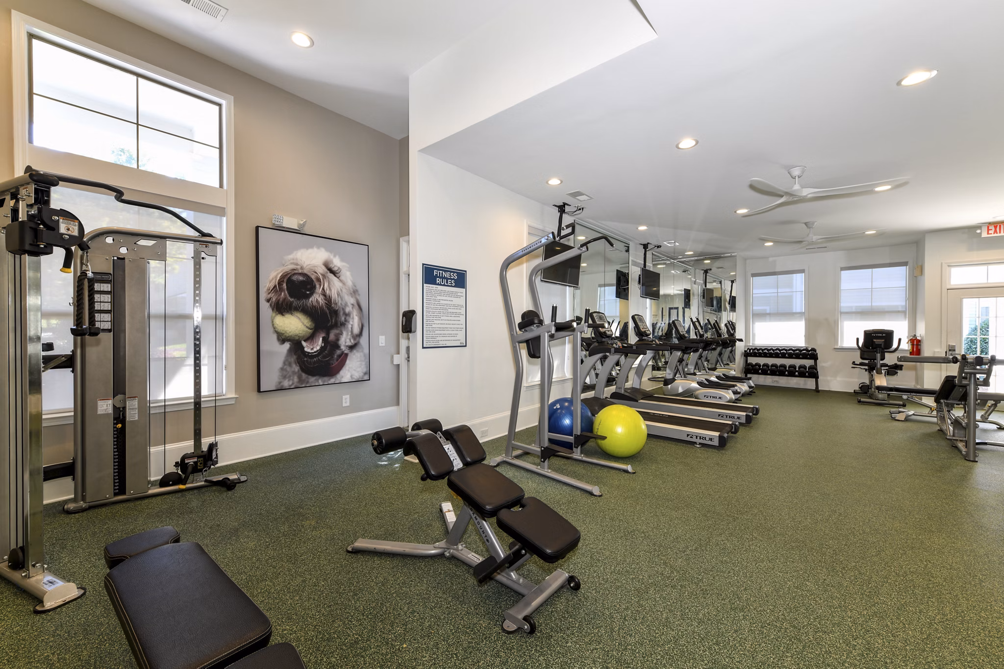 State-of-the-art fitness center at Avana Ridenour Apartments with modern equipment and spacious workout area