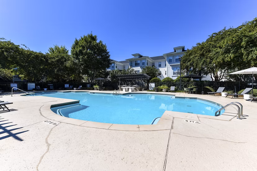 Resort-style outdoor pool at Avana Ridenour Apartments with sun loungers and palm trees