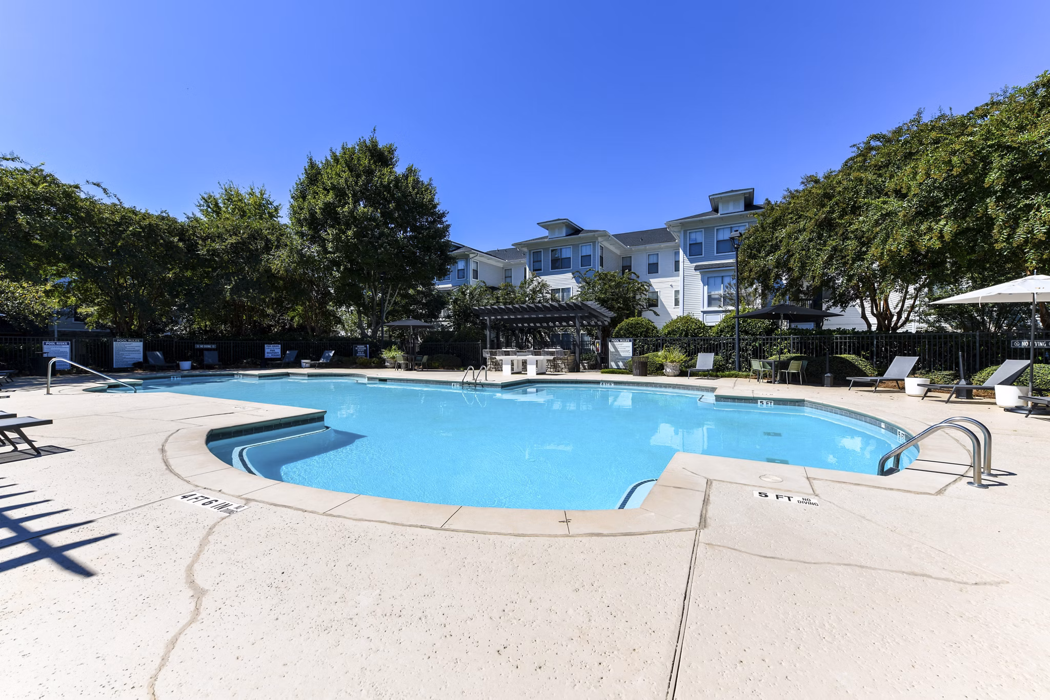 Resort-style outdoor pool at Avana Ridenour Apartments with sun loungers and palm trees