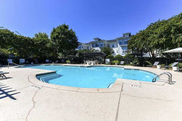 Resort-style outdoor pool at Avana Ridenour Apartments with sun loungers and palm trees