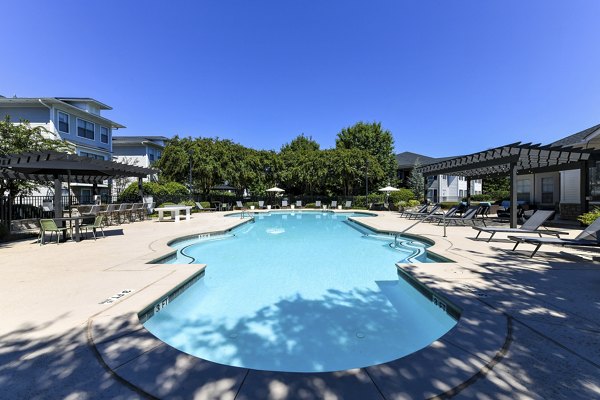 Resort-style pool with loungers at Avana Ridenour Apartments
