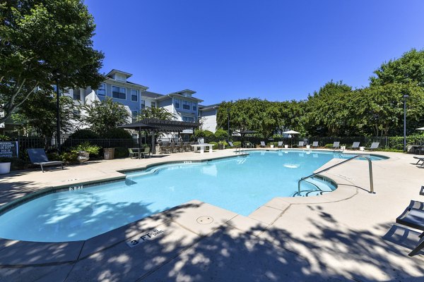 pool at Avana Ridenour Apartments