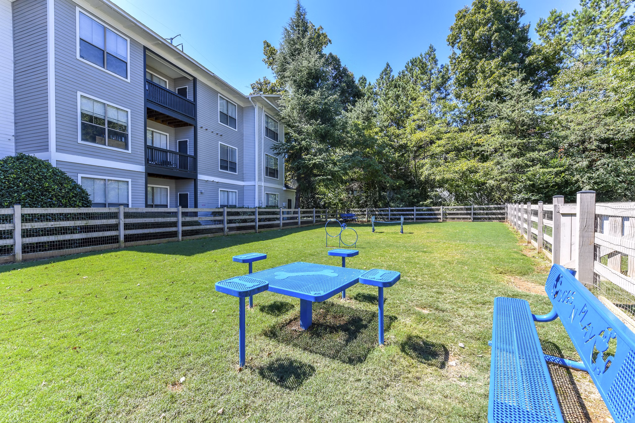 Dog-friendly space with agility course at Avana Ridenour Apartments' dog park