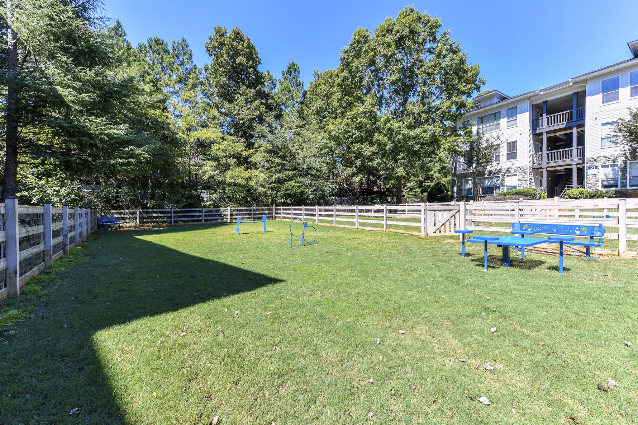 Spacious dog park with agility equipment at Avana Ridenour Apartments